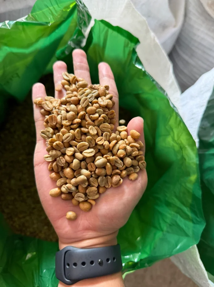 ARABICA ANAEROBIC NATURAL
