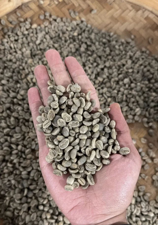 ARABICA FULL WASH