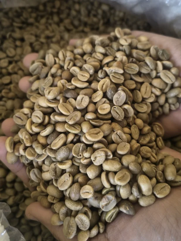 ARABICA HONEY