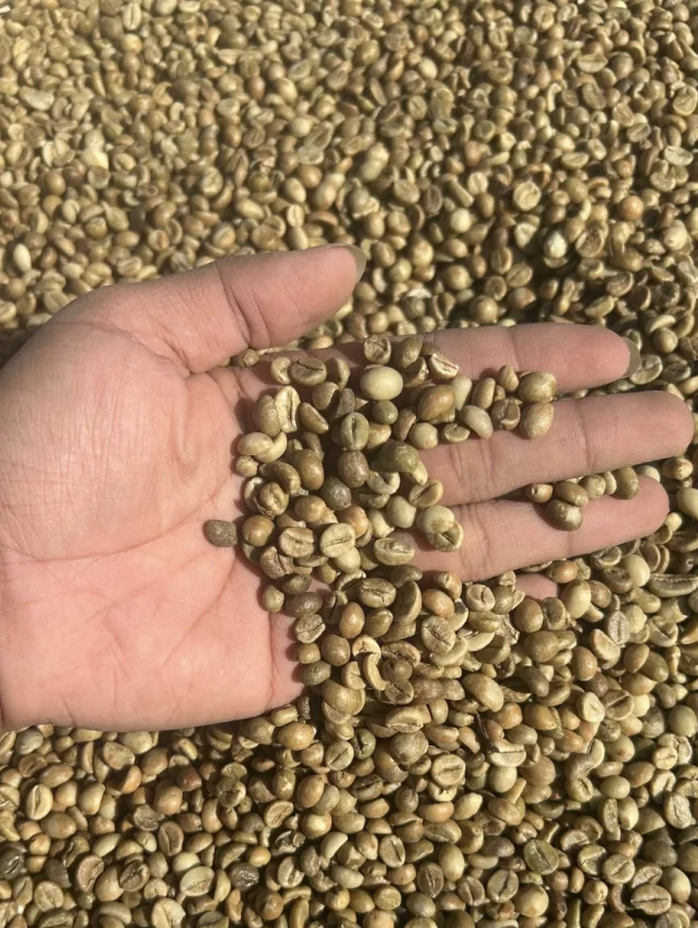 Fine Robusta coffee
